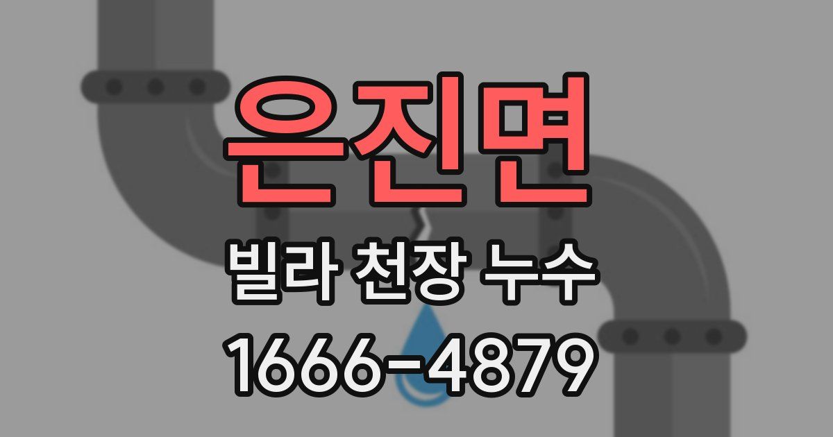 은진면 빌라 천장 누수