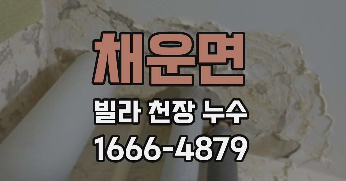 채운면 빌라 천장 누수