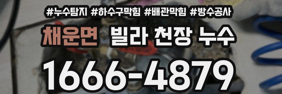 채운면 빌라 천장 누수