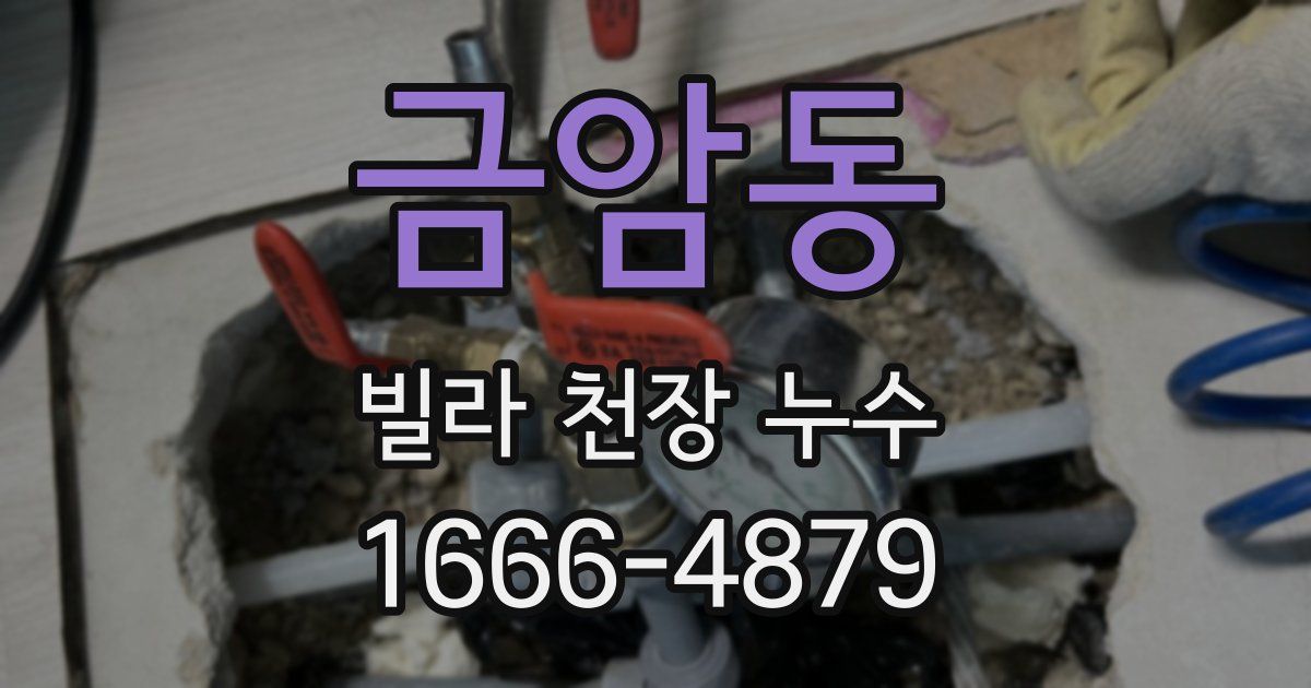 금암동 빌라 천장 누수