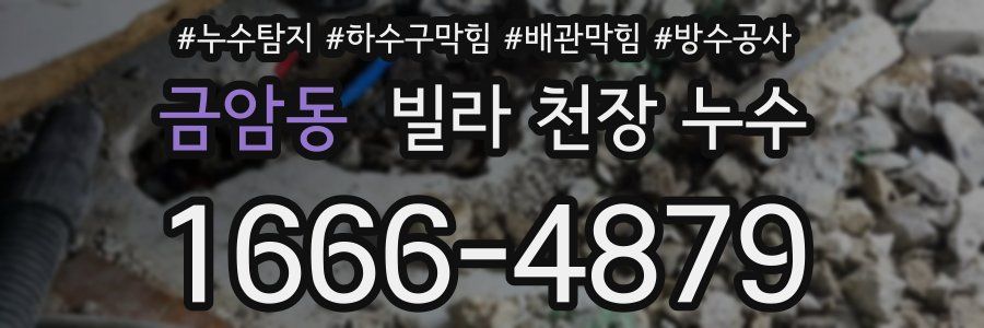 금암동 빌라 천장 누수