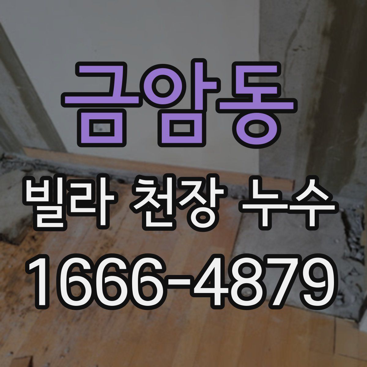 금암동 빌라 천장 누수
