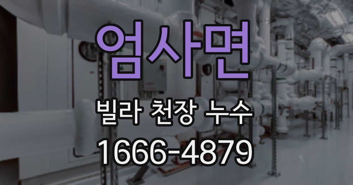엄사면 빌라 천장 누수