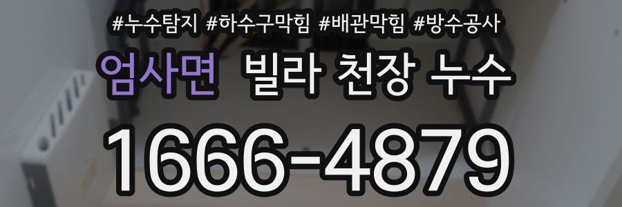 엄사면 빌라 천장 누수