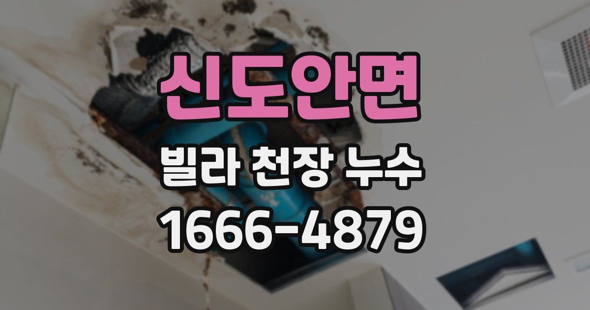 신도안면 빌라 천장 누수