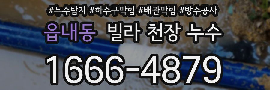 읍내동 빌라 천장 누수