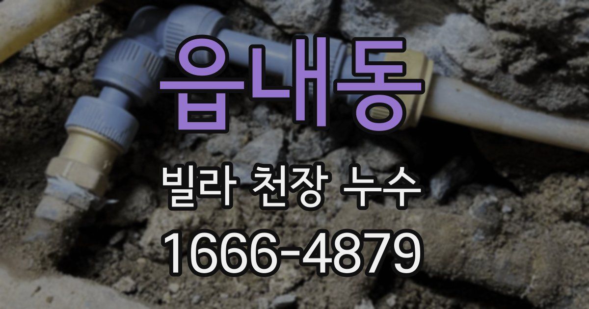 읍내동 빌라 천장 누수