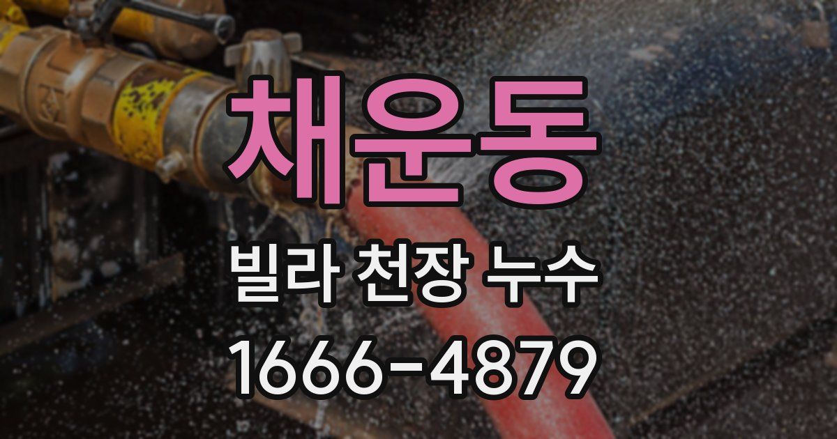채운동 빌라 천장 누수