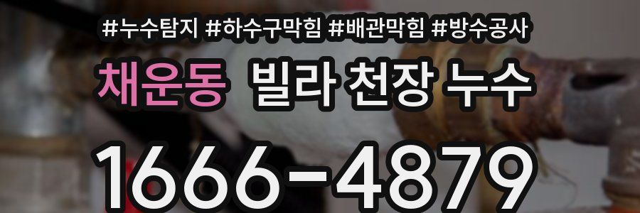 채운동 빌라 천장 누수