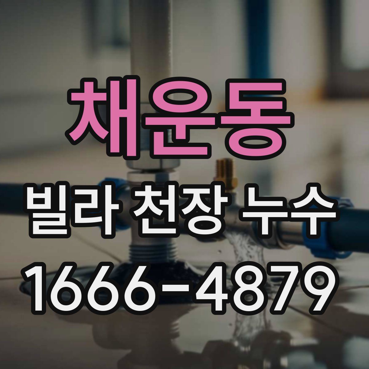 채운동 빌라 천장 누수