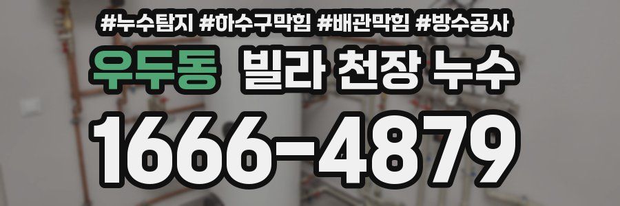 우두동 빌라 천장 누수