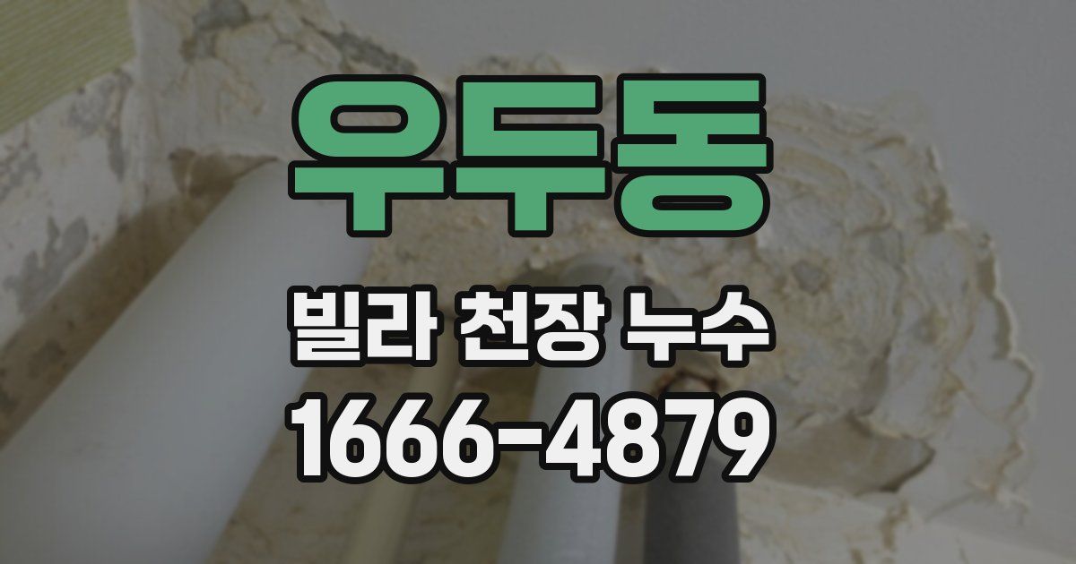 우두동 빌라 천장 누수