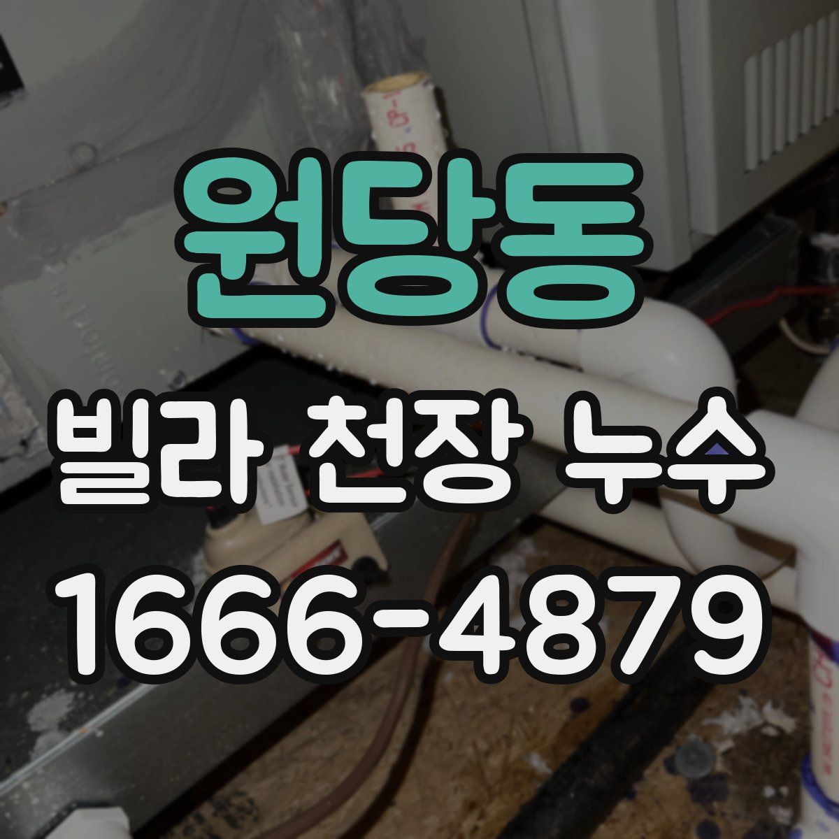 원당동 빌라 천장 누수