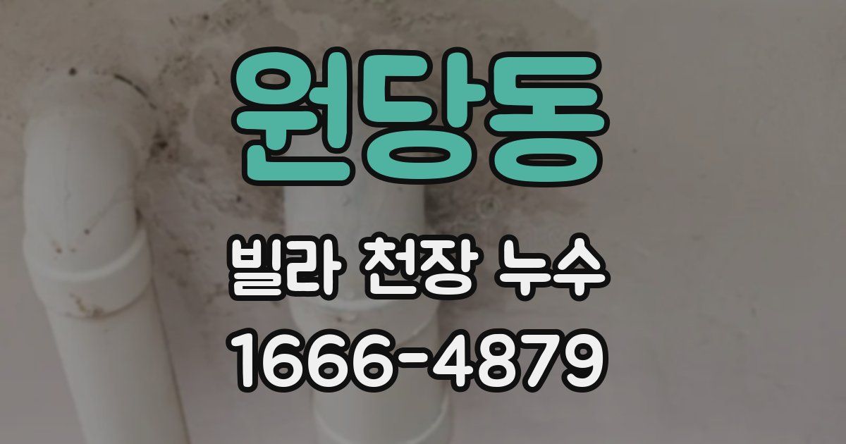 원당동 빌라 천장 누수