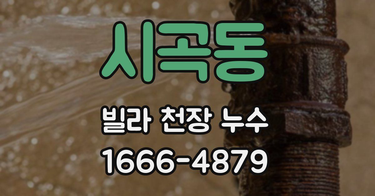시곡동 빌라 천장 누수