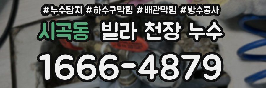 시곡동 빌라 천장 누수