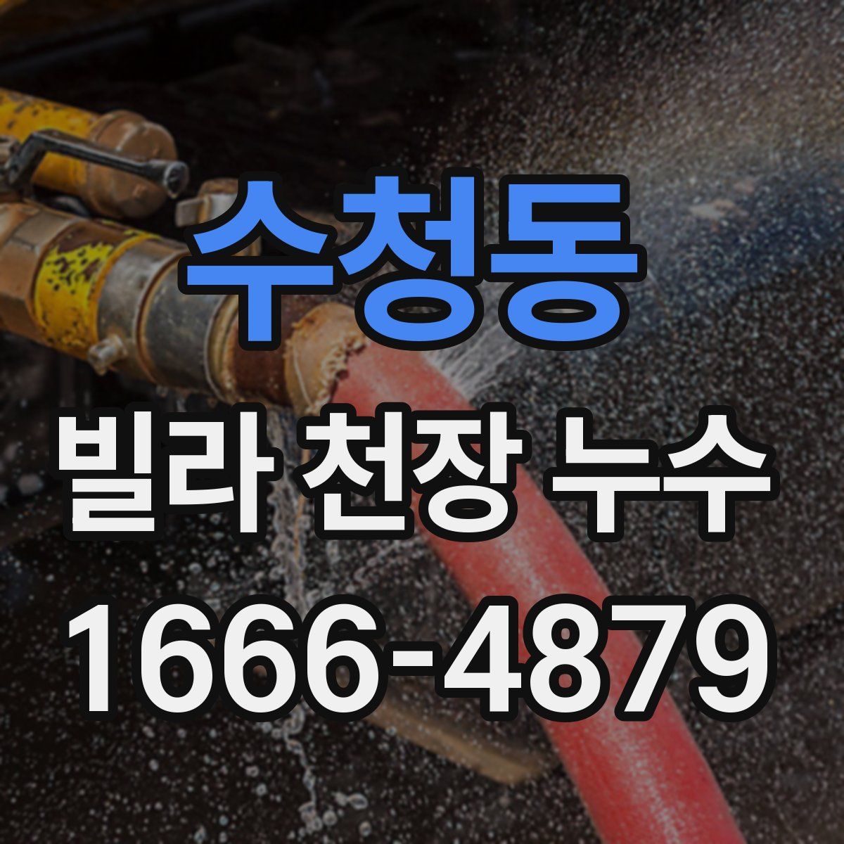 수청동 빌라 천장 누수