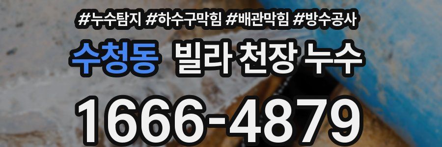 수청동 빌라 천장 누수