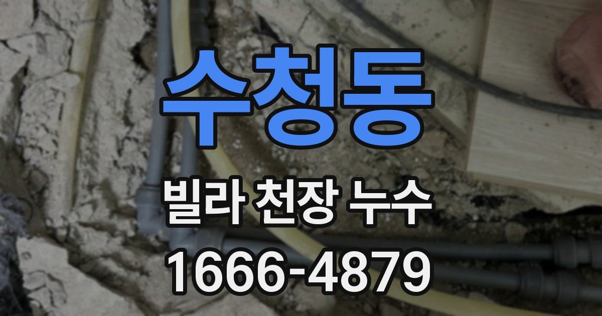 수청동 빌라 천장 누수