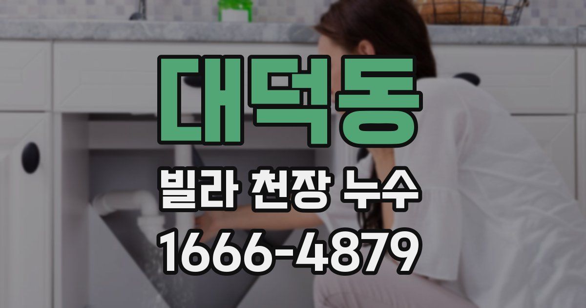 대덕동 빌라 천장 누수