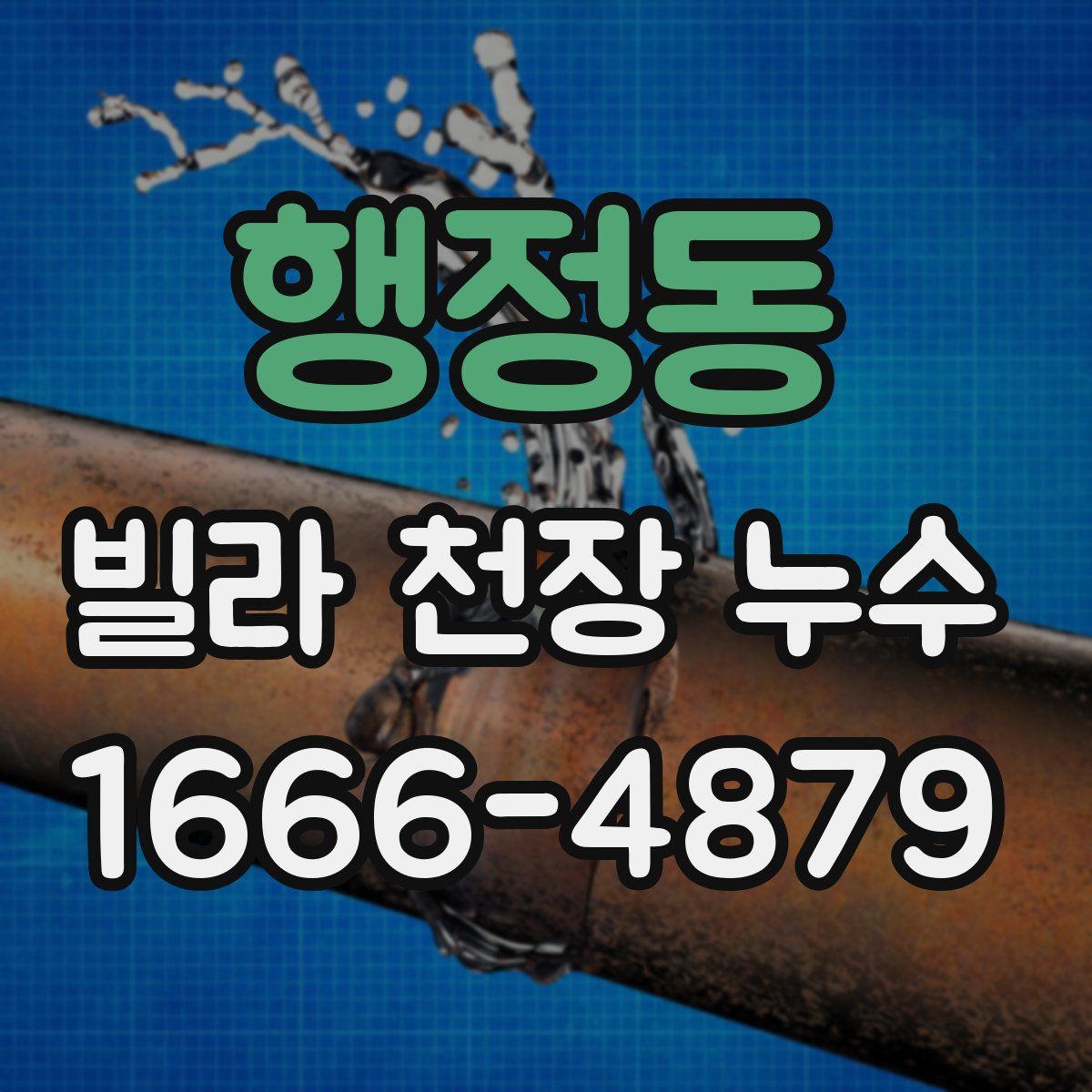 행정동 빌라 천장 누수