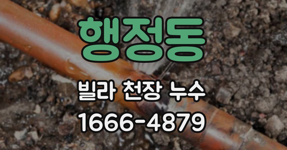 행정동 빌라 천장 누수