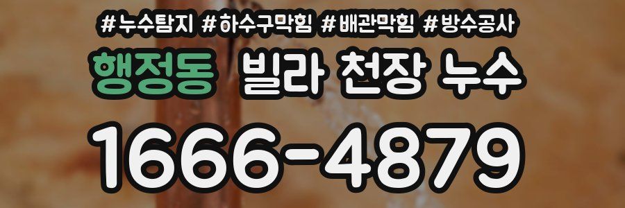 행정동 빌라 천장 누수