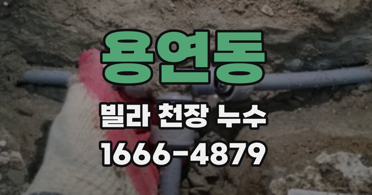 용연동 빌라 천장 누수