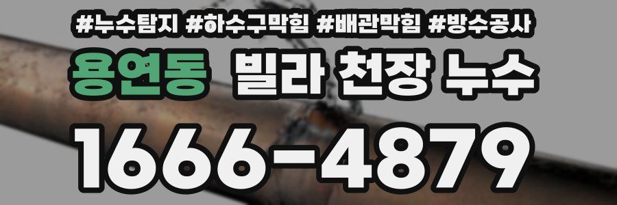 용연동 빌라 천장 누수
