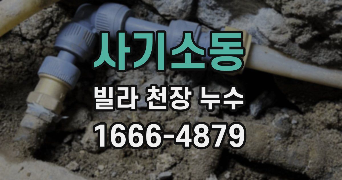 사기소동 빌라 천장 누수