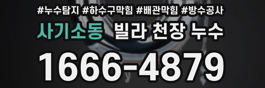 사기소동 빌라 천장 누수