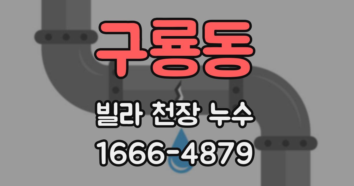 구룡동 빌라 천장 누수