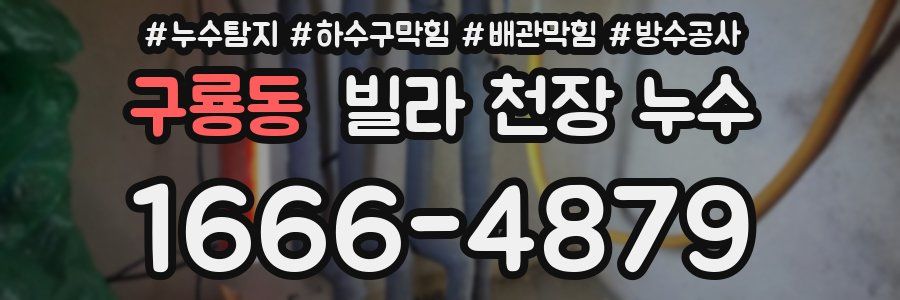 구룡동 빌라 천장 누수