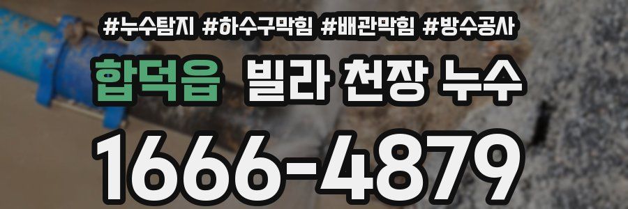 합덕읍 빌라 천장 누수