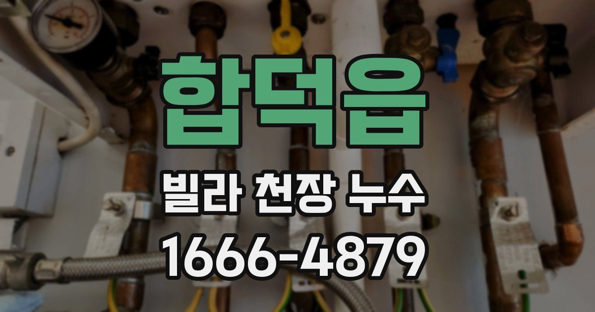 합덕읍 빌라 천장 누수