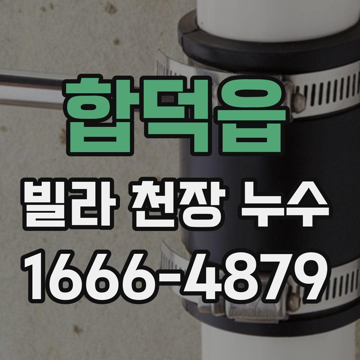 합덕읍 빌라 천장 누수