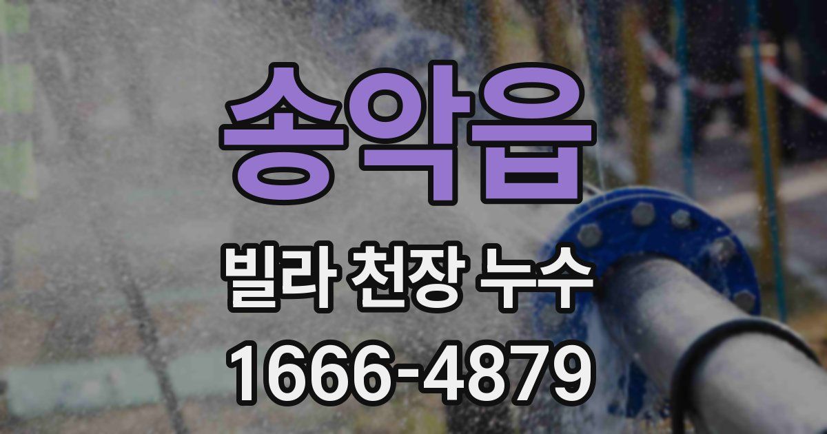 송악읍 빌라 천장 누수