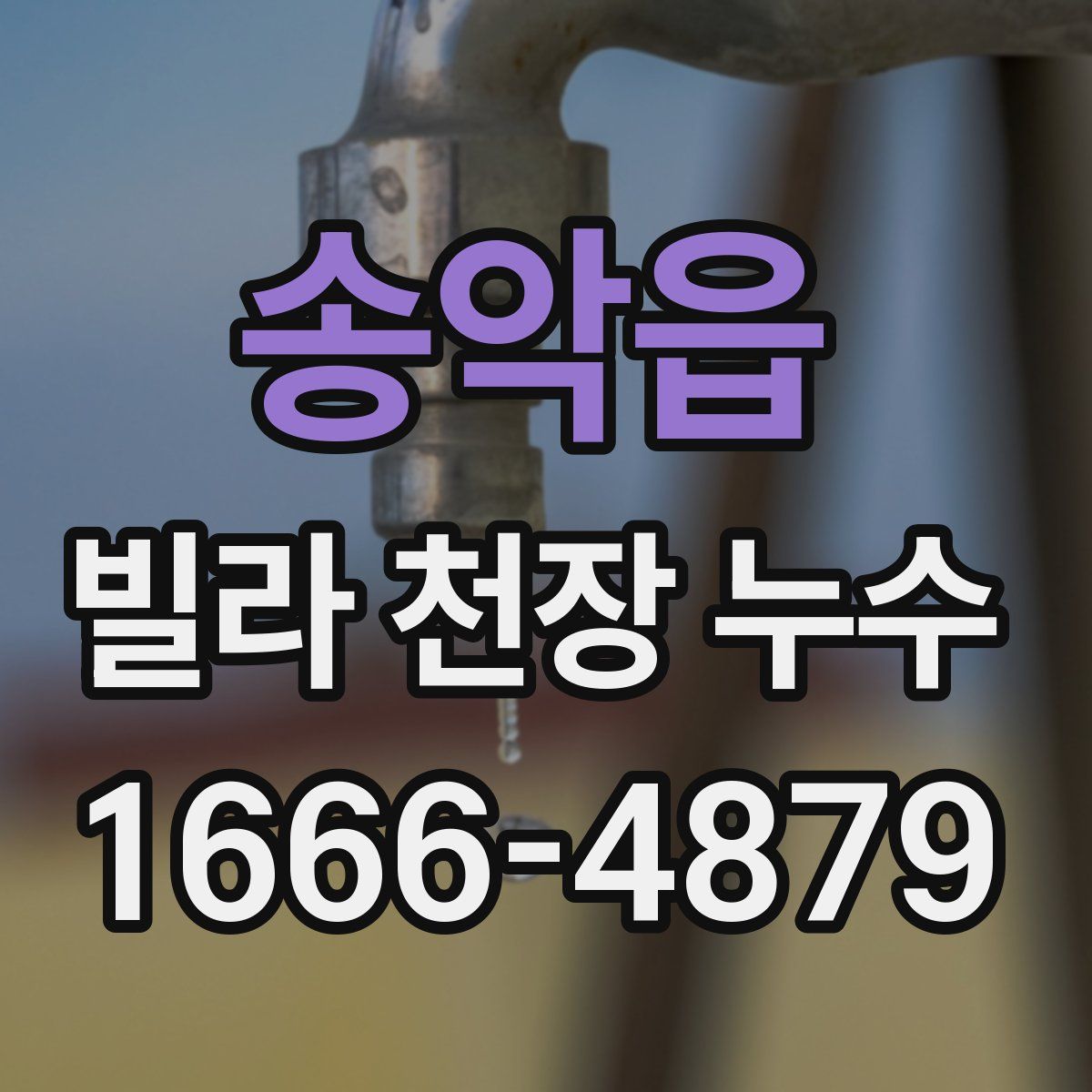 송악읍 빌라 천장 누수