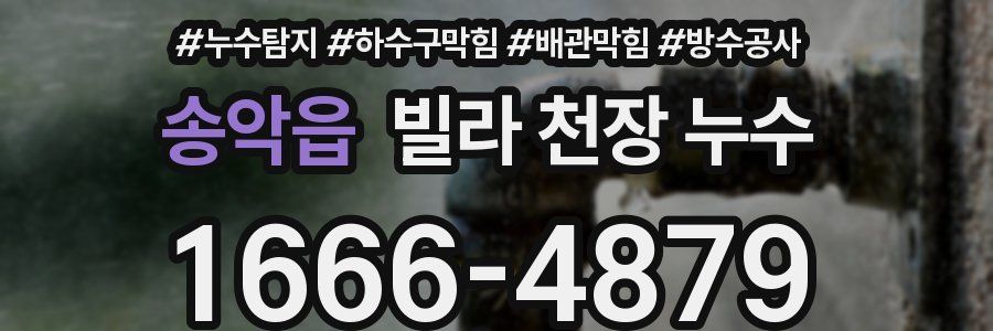송악읍 빌라 천장 누수