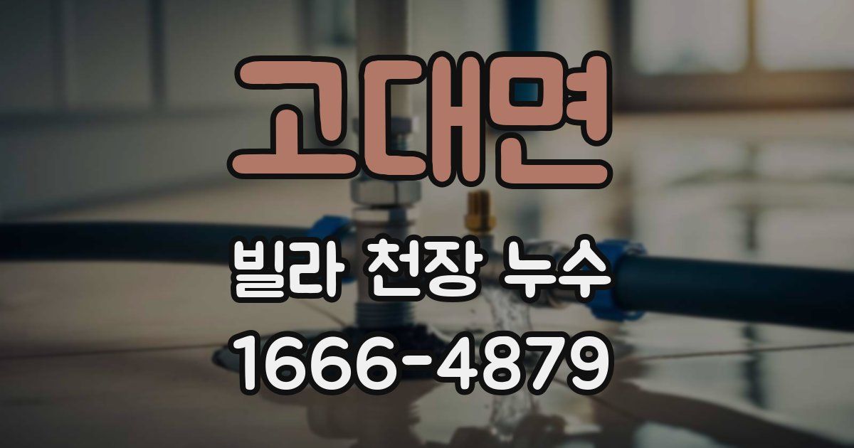 고대면 빌라 천장 누수