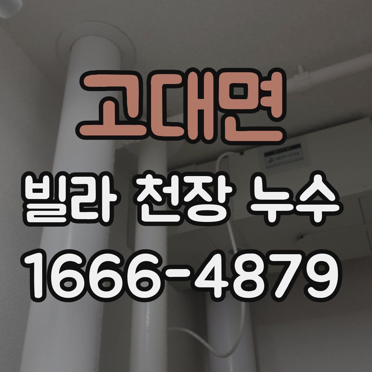 고대면 빌라 천장 누수