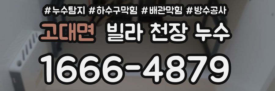 고대면 빌라 천장 누수