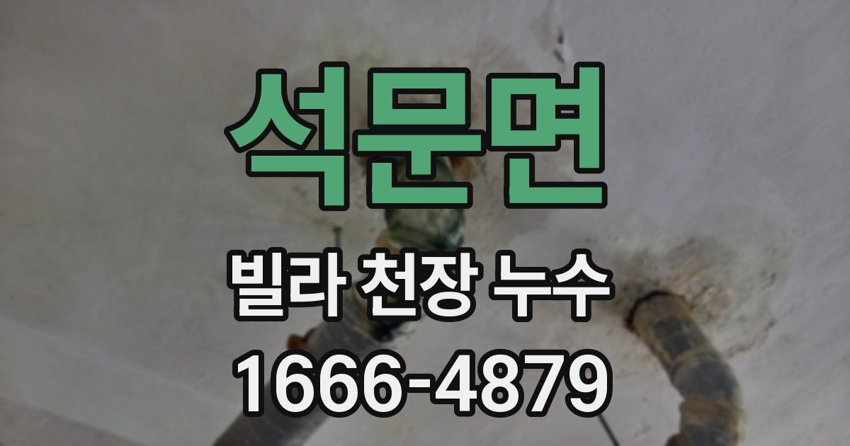 석문면 빌라 천장 누수