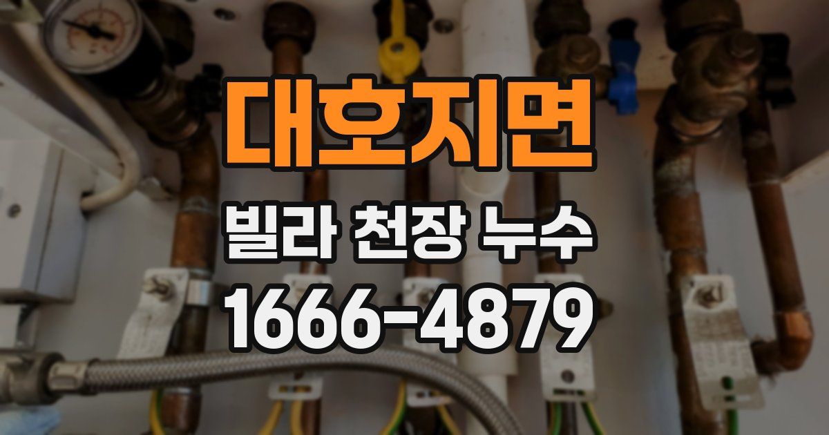 대호지면 빌라 천장 누수