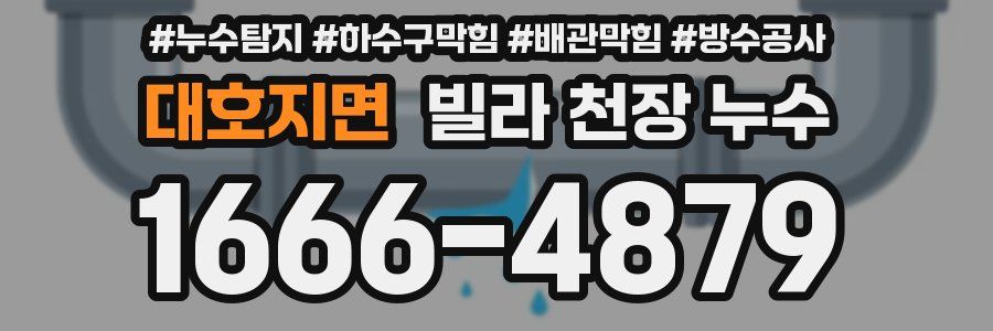 대호지면 빌라 천장 누수