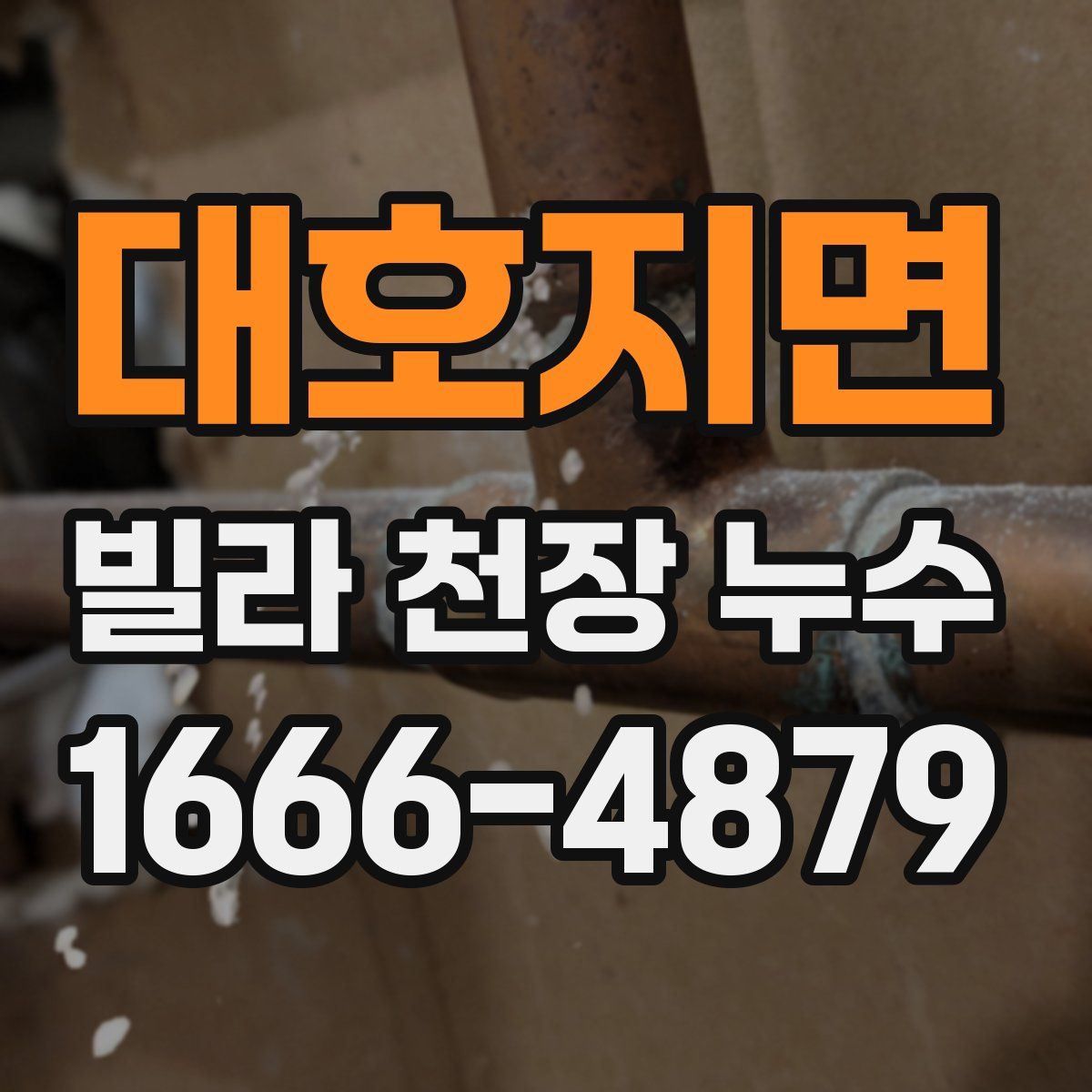 대호지면 빌라 천장 누수