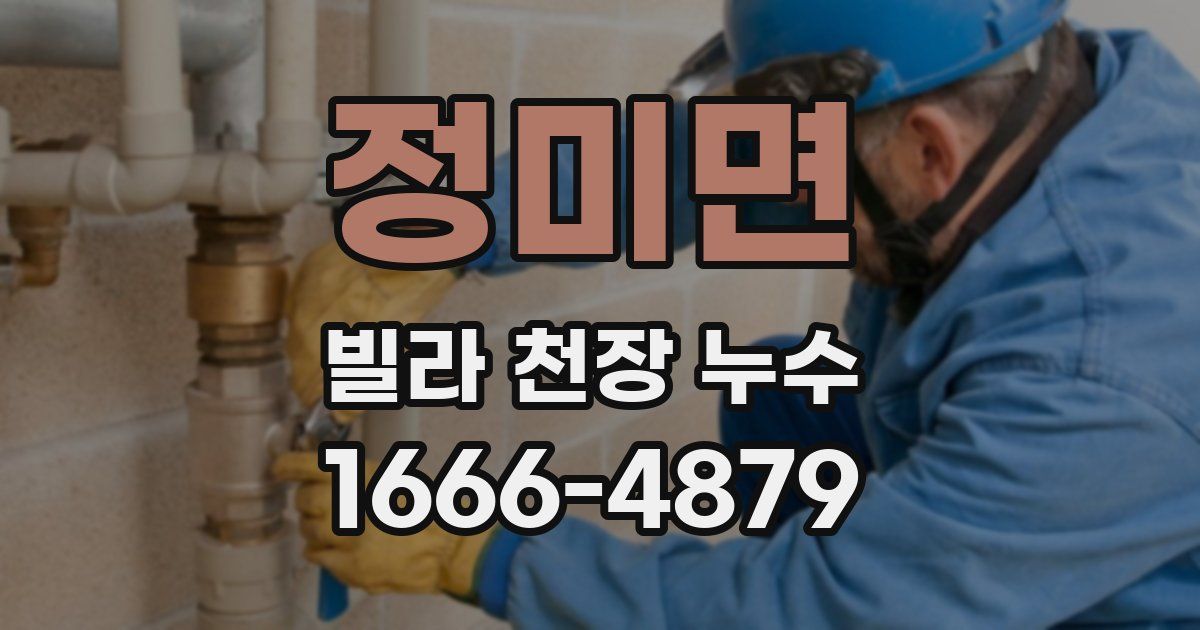 정미면 빌라 천장 누수