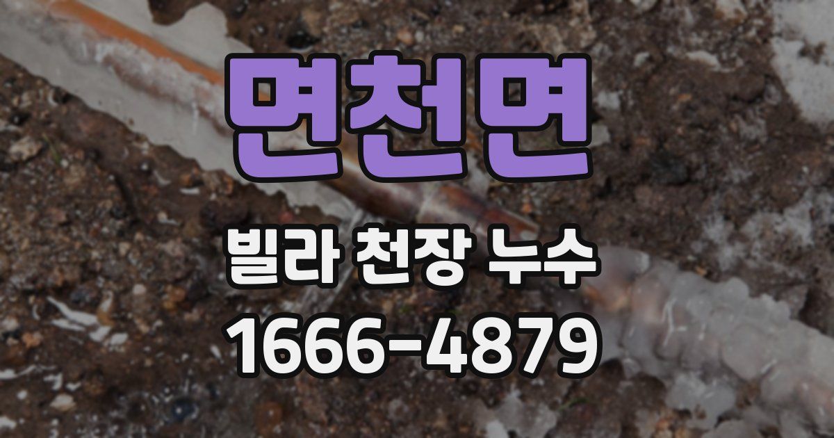 면천면 빌라 천장 누수