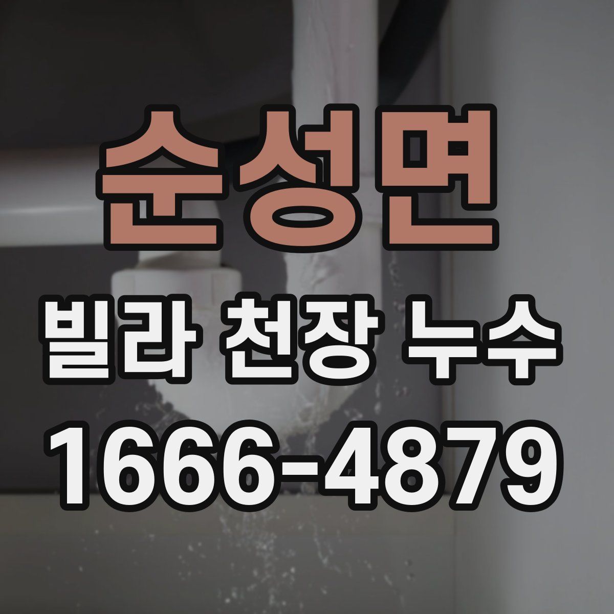 순성면 빌라 천장 누수