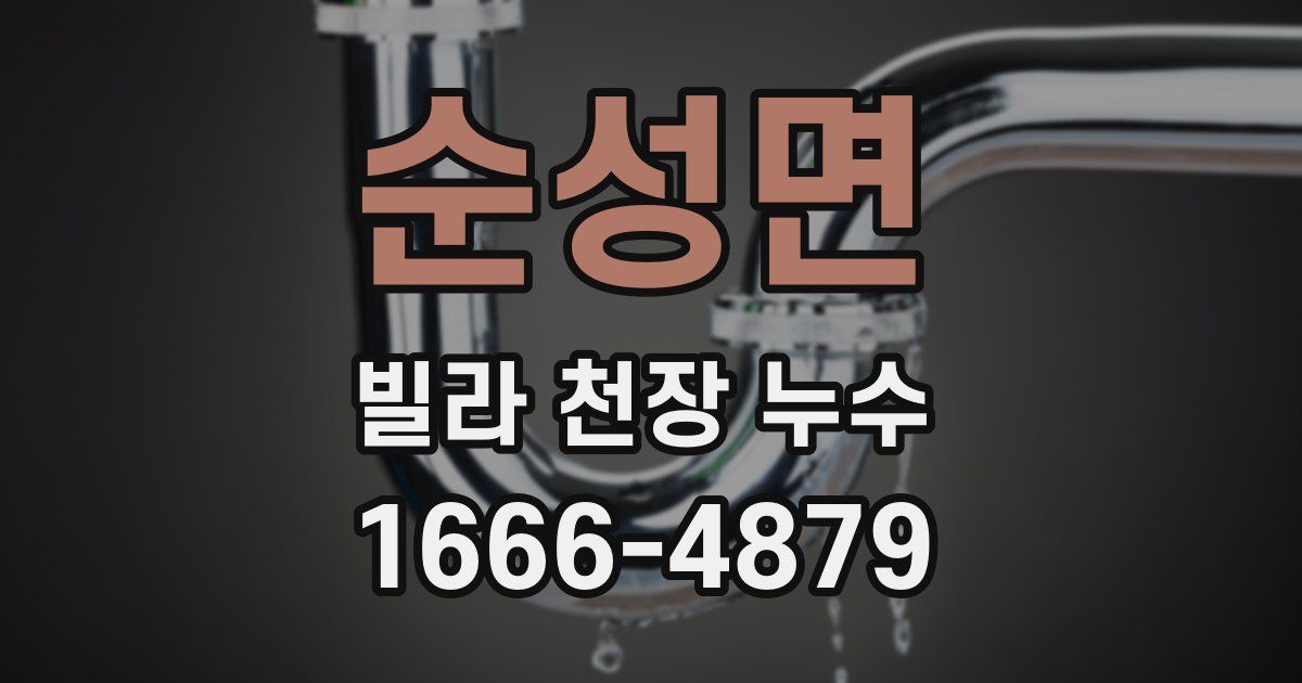 순성면 빌라 천장 누수
